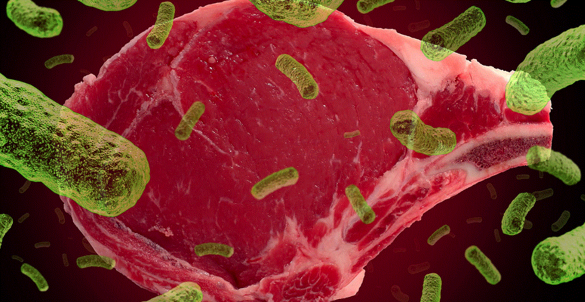 Detection and Enumeration of Pathogens in Meat